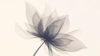 Ethereal Flower Minimalist