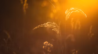 Wallpaper by creative2023