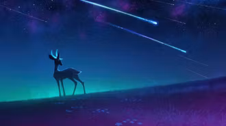 Deer Silhouette Watching Meteor Shower