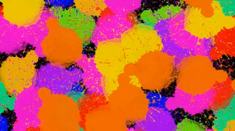 Paint
