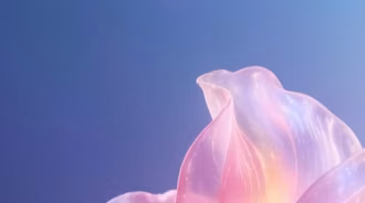 flower, 4k