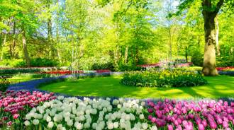 This is a park and look there are many many kinds of flower I like to smell them it is so beautiful:))