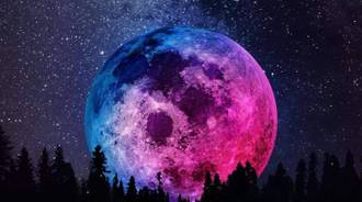 pink moon