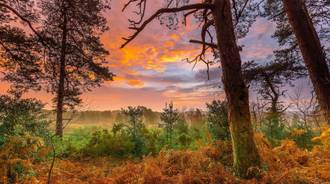 Wallpaper by gihan