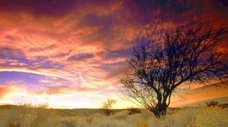 Wallpaper by gihan