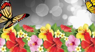Wallpaper by gihan