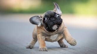 Rip N Dip Desktop Wallpapers - Wallpaper Cave