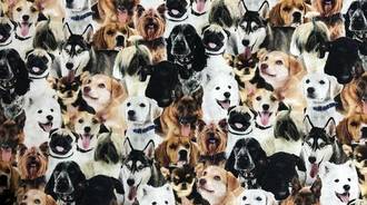 Wallpaper by puppy Annalee
