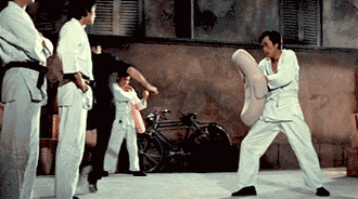 bruce lee sidekick
