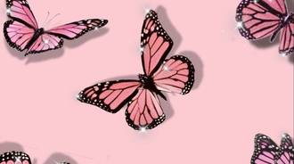 Wallpaper by softiiestephanie