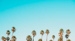 summer aesthetic HD wallpaper