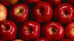 apple food wallpaper