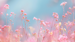 flower spring art PC wallpaper