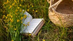 book flower wallpaper
