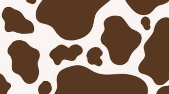 chocolate cow wallpaper