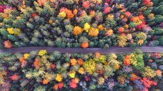 autumn drone wallpaper