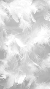 white feathers wallpaper