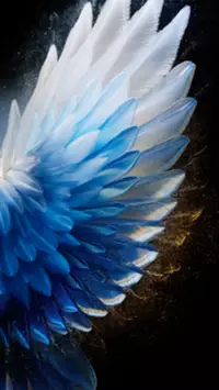 Tecno Camon 40 Pro wallpaper