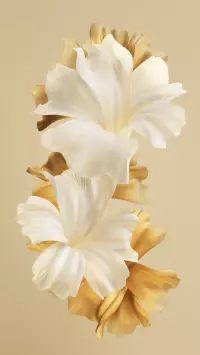 Infinix Zero Mini Tri-Fold wallpaper