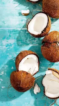 summer preppy coconut wallpaper