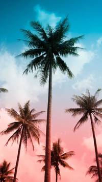 summer vibes Android wallpaper