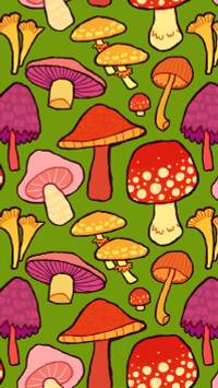 cute aesthetic mushroom wallpaper