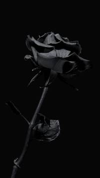 dark photography wallpaper