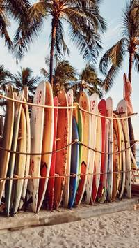 surf summer wallpaper