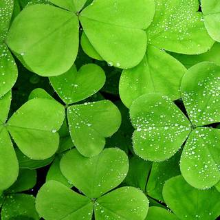 Windows 8 wallpaper high quality