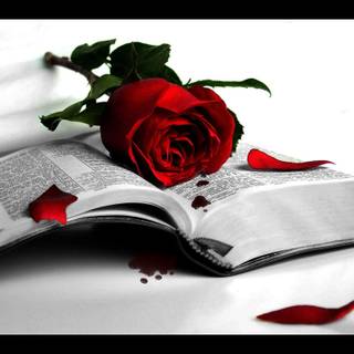 Broken heart wallpaper love