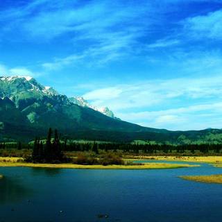 Pictures of nature backgrounds