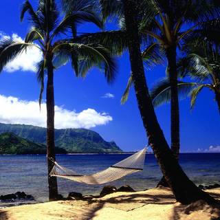 Hawaii background images
