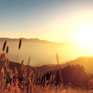 Free summertime desktop wallpaper