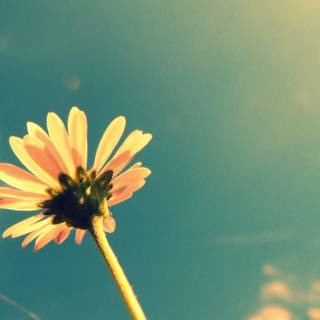 Hipster computer backgrounds