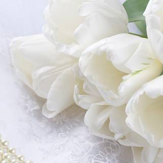 Flowers wallpaper HD