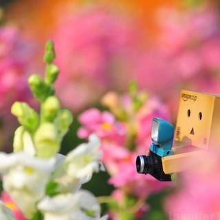 Images of cute wallpaper