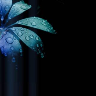 Abstract butterfly wallpaper