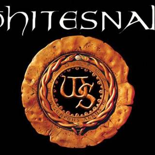 Whitesnake wallpaper