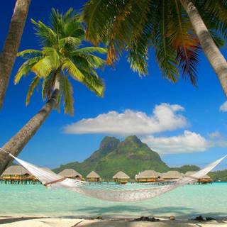 Tropical beach desktop wallpaper