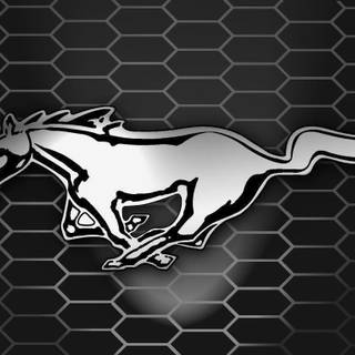 Mustang logo wallpaper