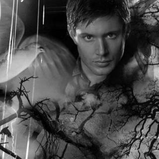 Jensen Ackles wallpaper