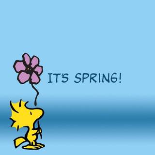 Snoopy spring