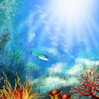 Under water wallpaper