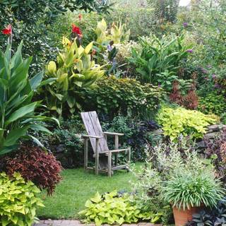 Flower garden backgrounds