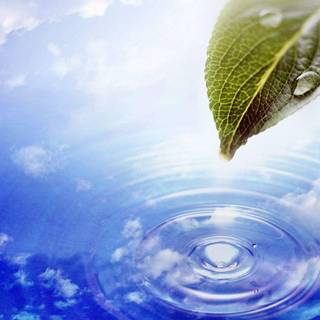 Moving wallpaper to download