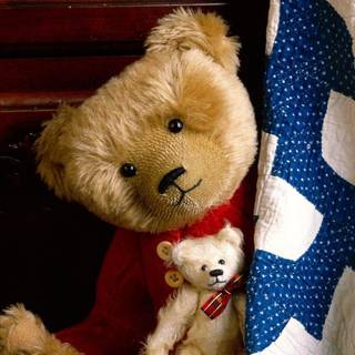 Cute teddy bear wallpaper