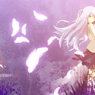 Anime angel pictures