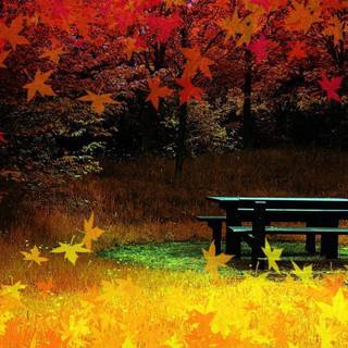 Fall Thanksgiving wallpaper