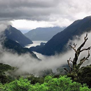 Widescreen wallpaper