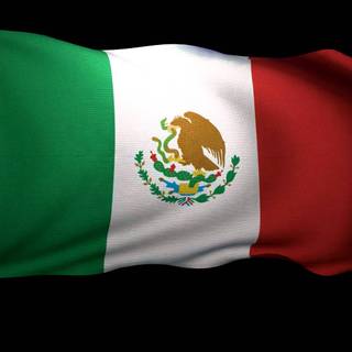 Cool Mexican backgrounds